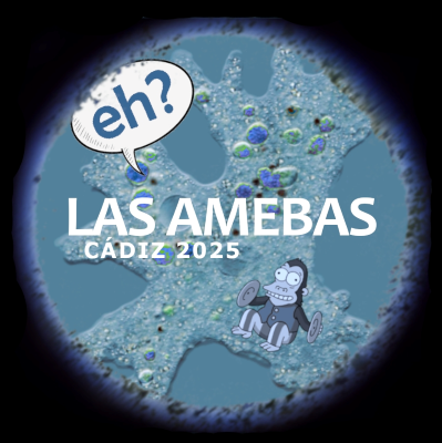 Chirigota Callejera Las amebas de goma eva